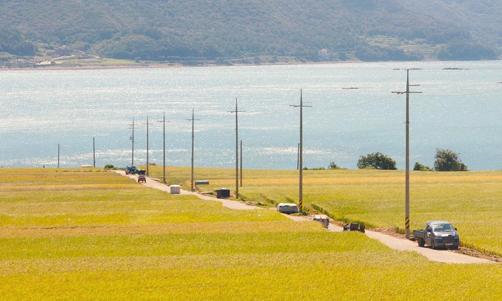 American Village Pension Manoa Namhae Rom bilde